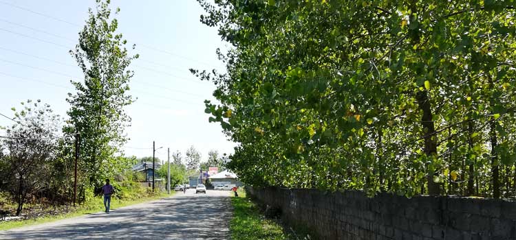 چاپارخانه روستایی است که یوسف هاشمی ، کاشف برنج هاشمی در آن زندگی می کند